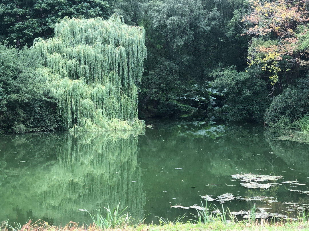 Hodnet Hall Gardens-Market Drayton必去景点