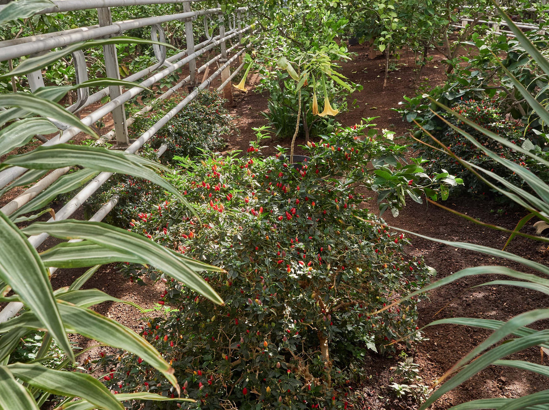 Lemonarium-乌法必去景点