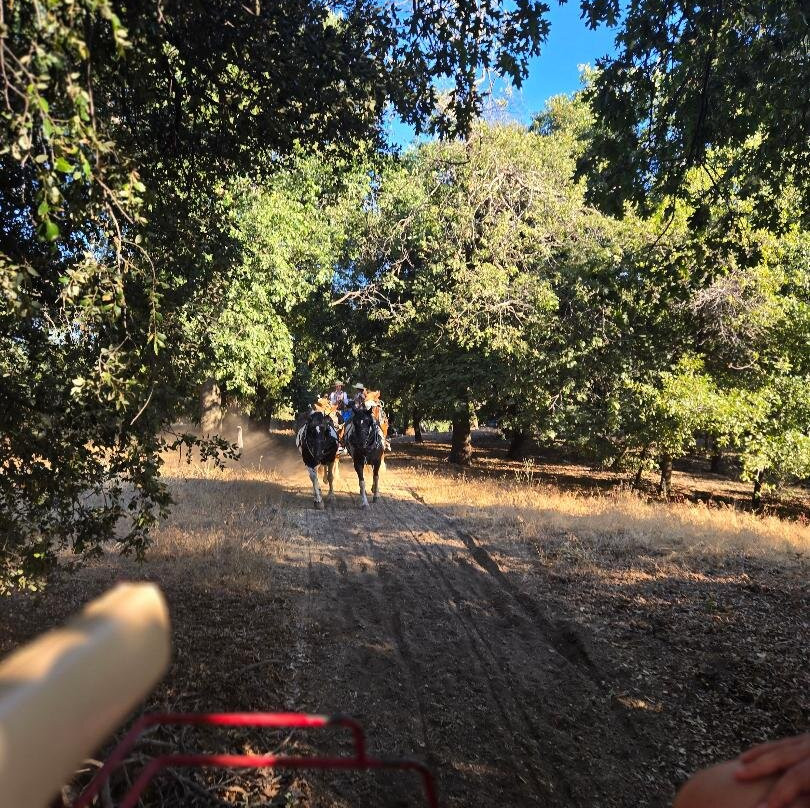 Rileys at Los Rios Rancho-Oak Glen必去景点