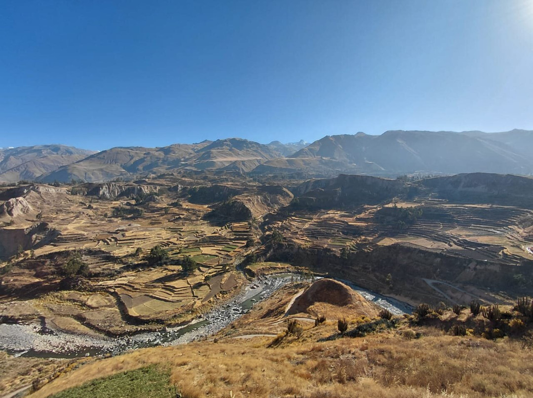 Carlitos Tours-阿雷基帕必去景点