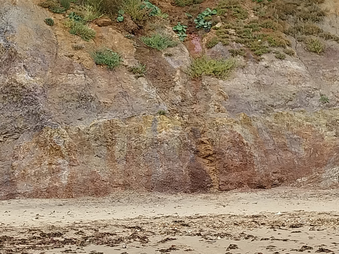 Isle of Wight Fossil Hunts - Island Gems-Godshill必去景点