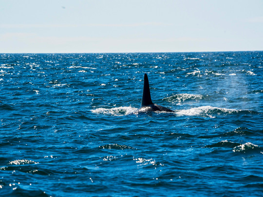 Sound Water Tours-苏厄德必去景点