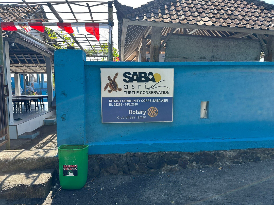 Saba Asri Turtles Conservation