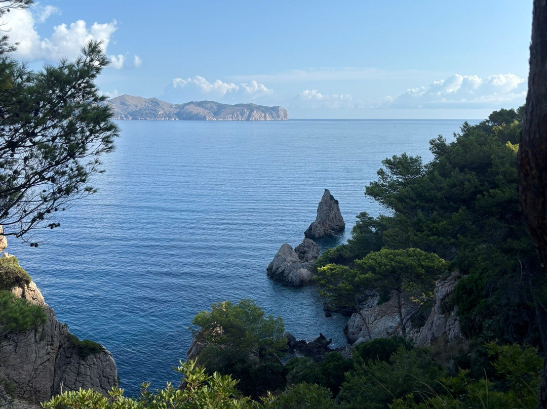 Active Alcudia-阿库迪亚必去景点