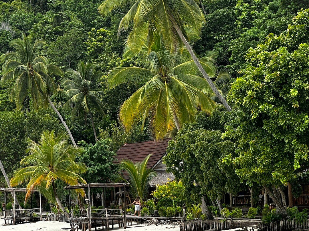 拉贾安姆葩特潜水小屋酒店主图