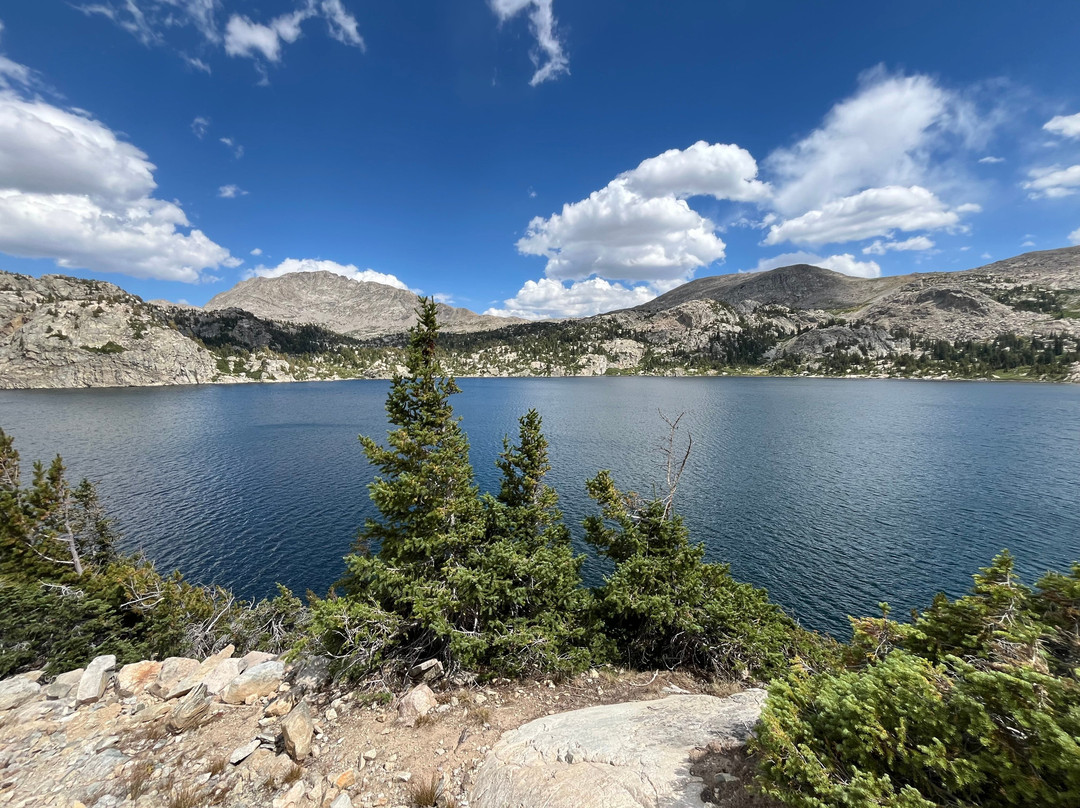 Wildland Llamas-杰克逊必去景点