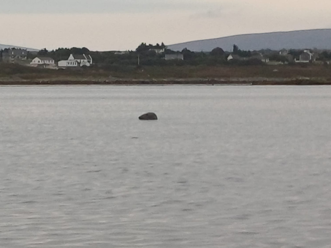 Maghery Coastal Adventures-Dungloe必去景点