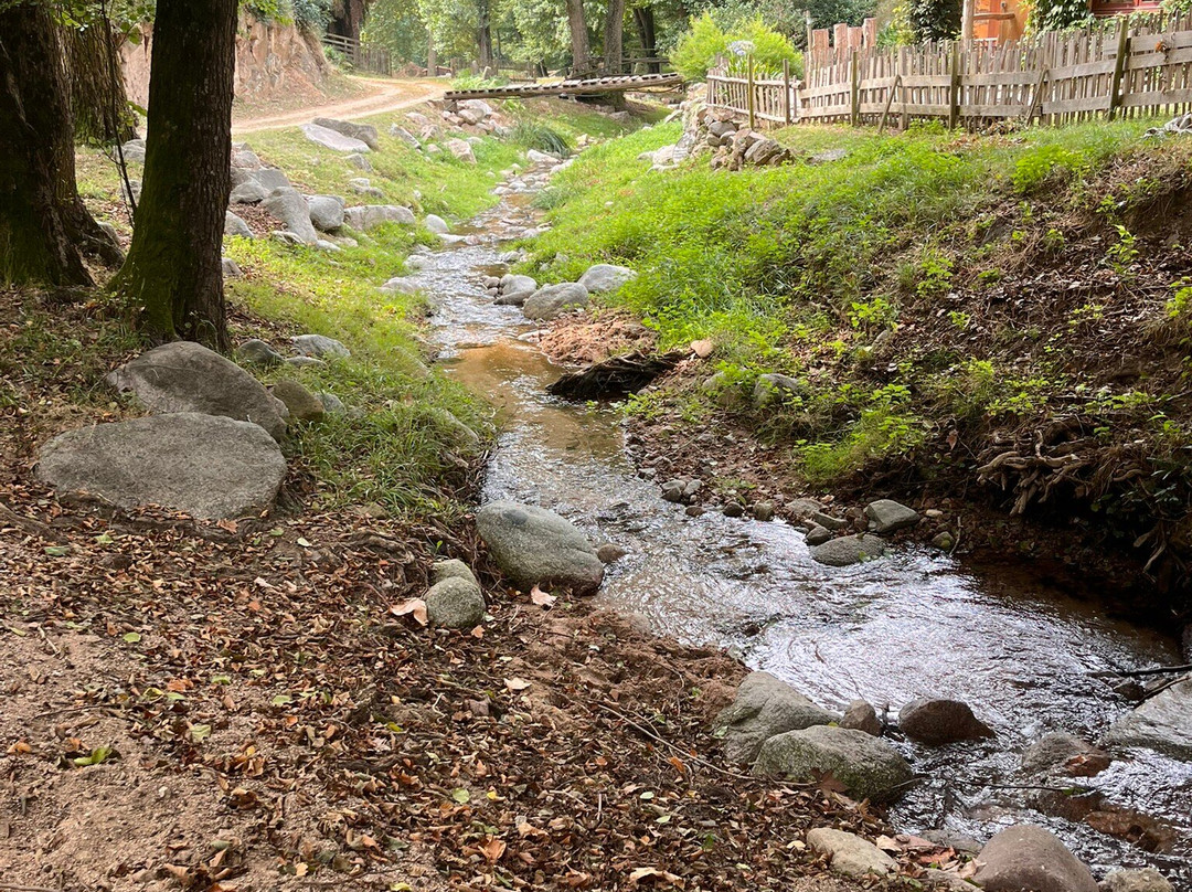 El Moli de Can Aulet主图