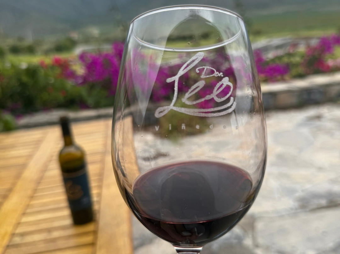 Vinedos Don Leo-Parras de la Fuente必去景点