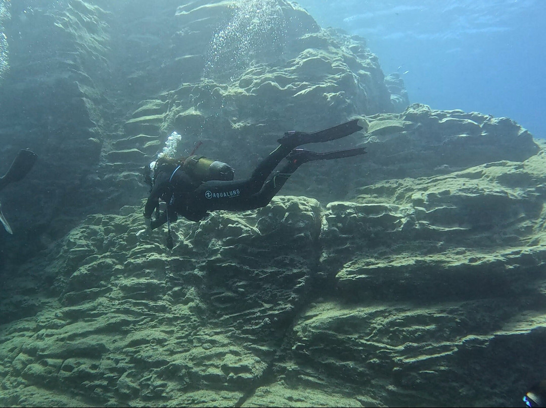 Diver's Club Crete-阿希亚贝拉希亚必去景点