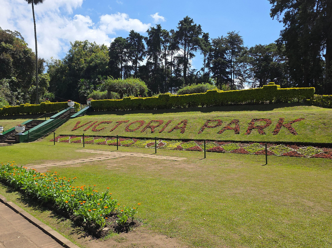 Chauffeur Sri Lanka by Dohansa Lanka Tours-尼甘布必去景点