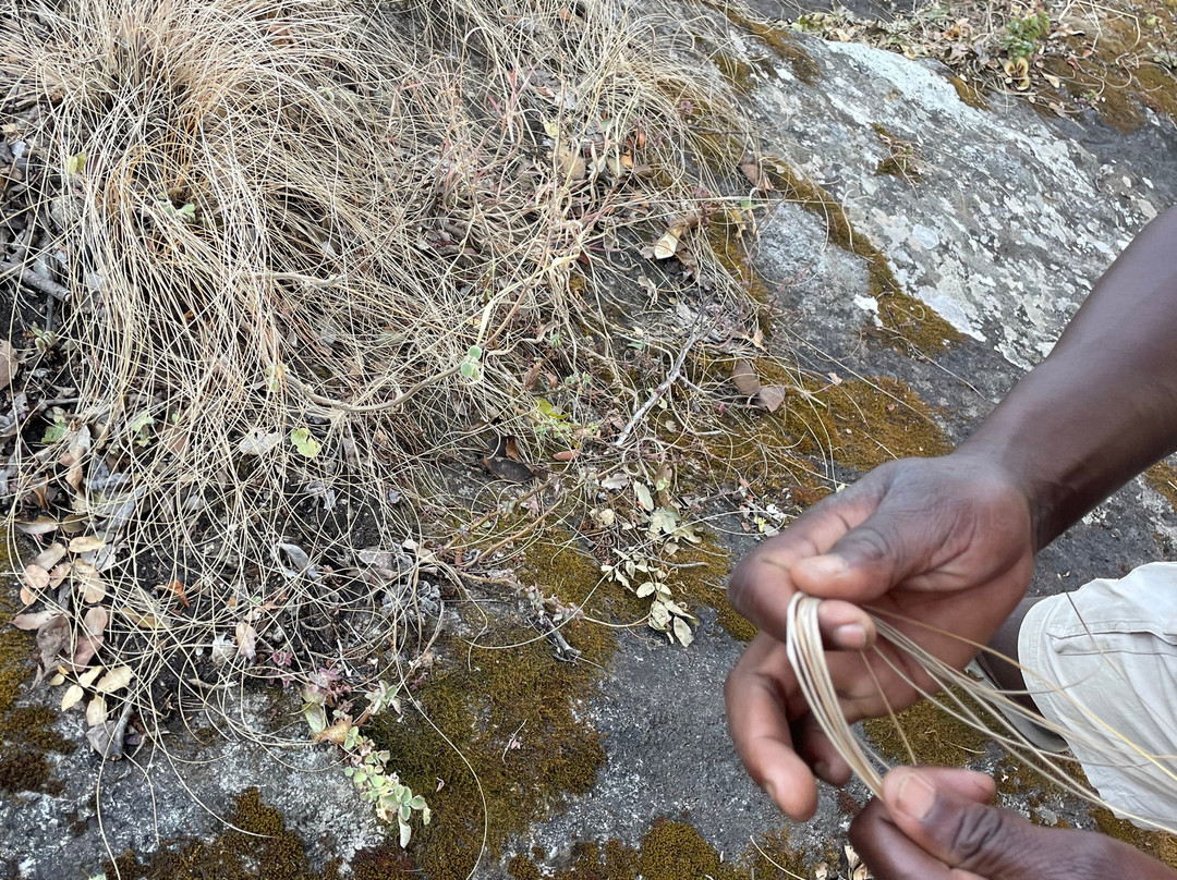 Scenery Adventures Malawi-姆兰杰必去景点