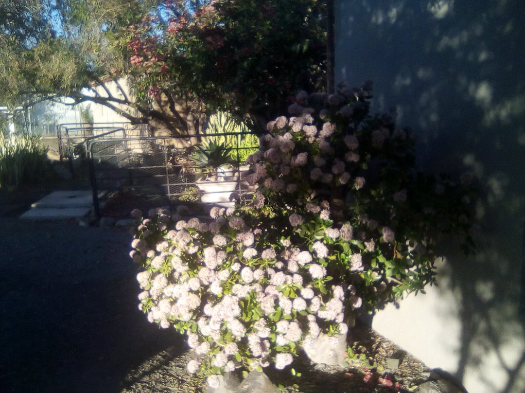 Leeu Gamka Hotel主图