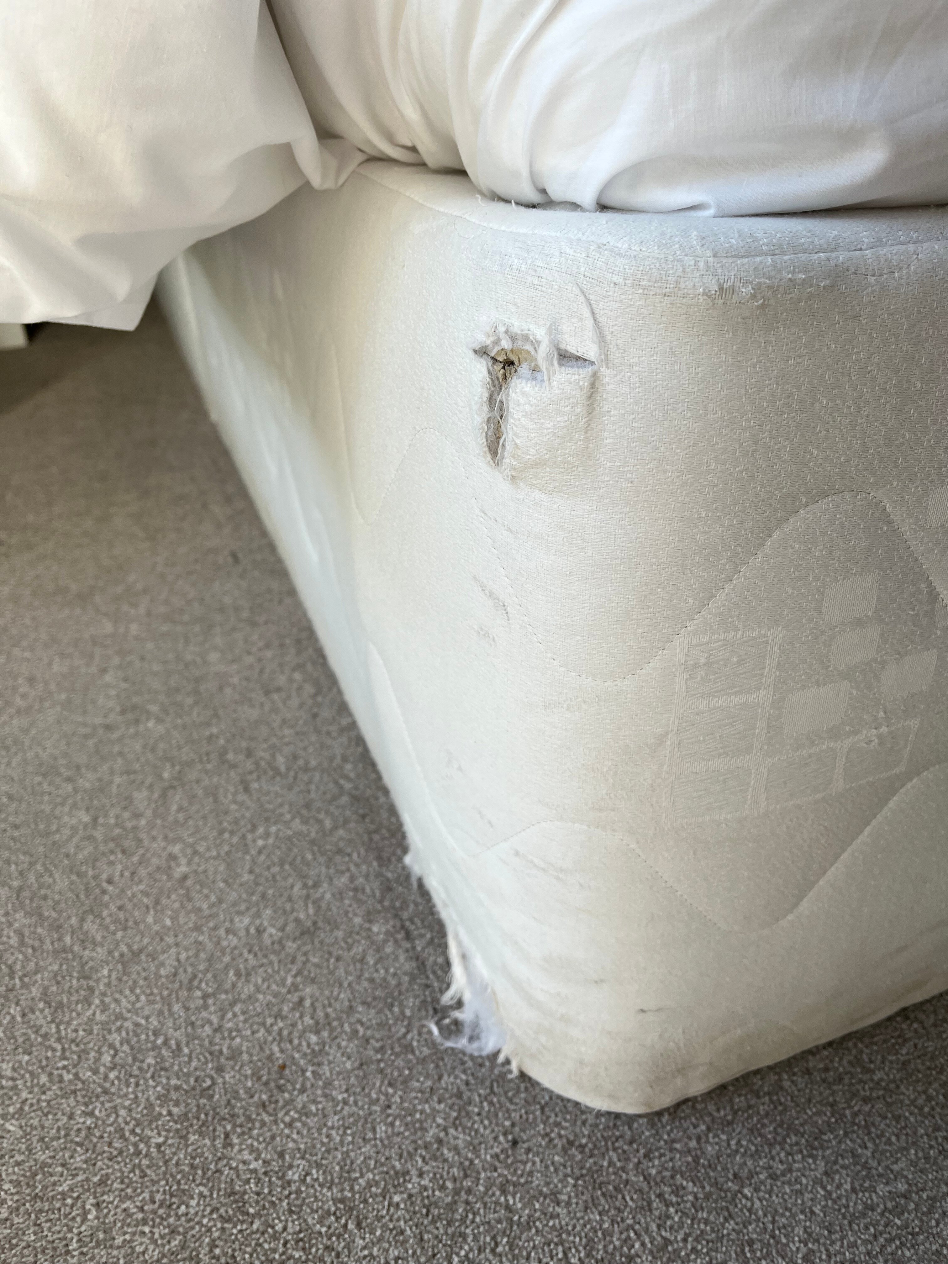 Kentisbury Grange Hotel-官方