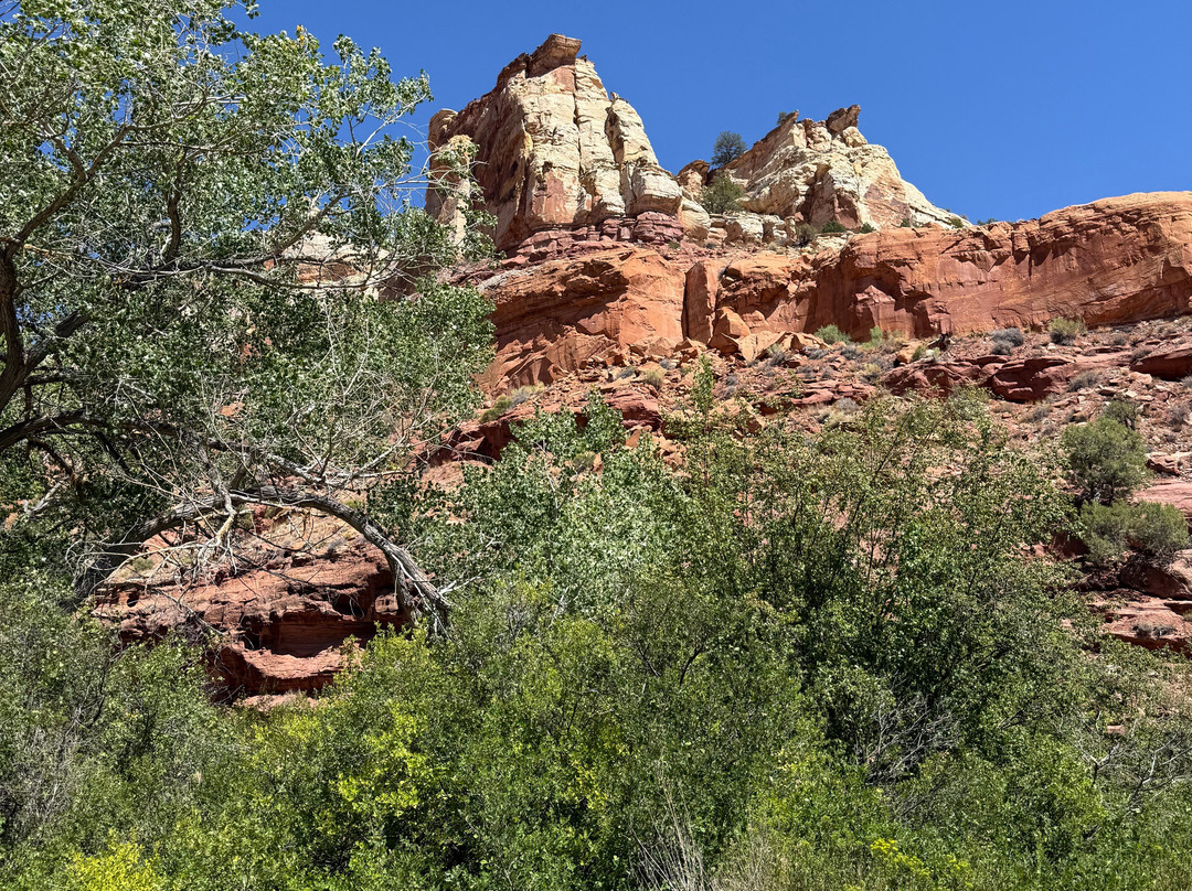 Canyon Country Lodge主图