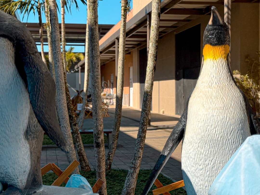 Porto Belo Outlet Premium-Porto Belo必去景点