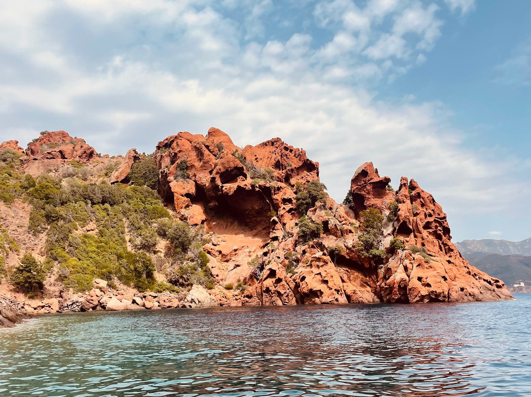 Le Goëland-Porto必去景点