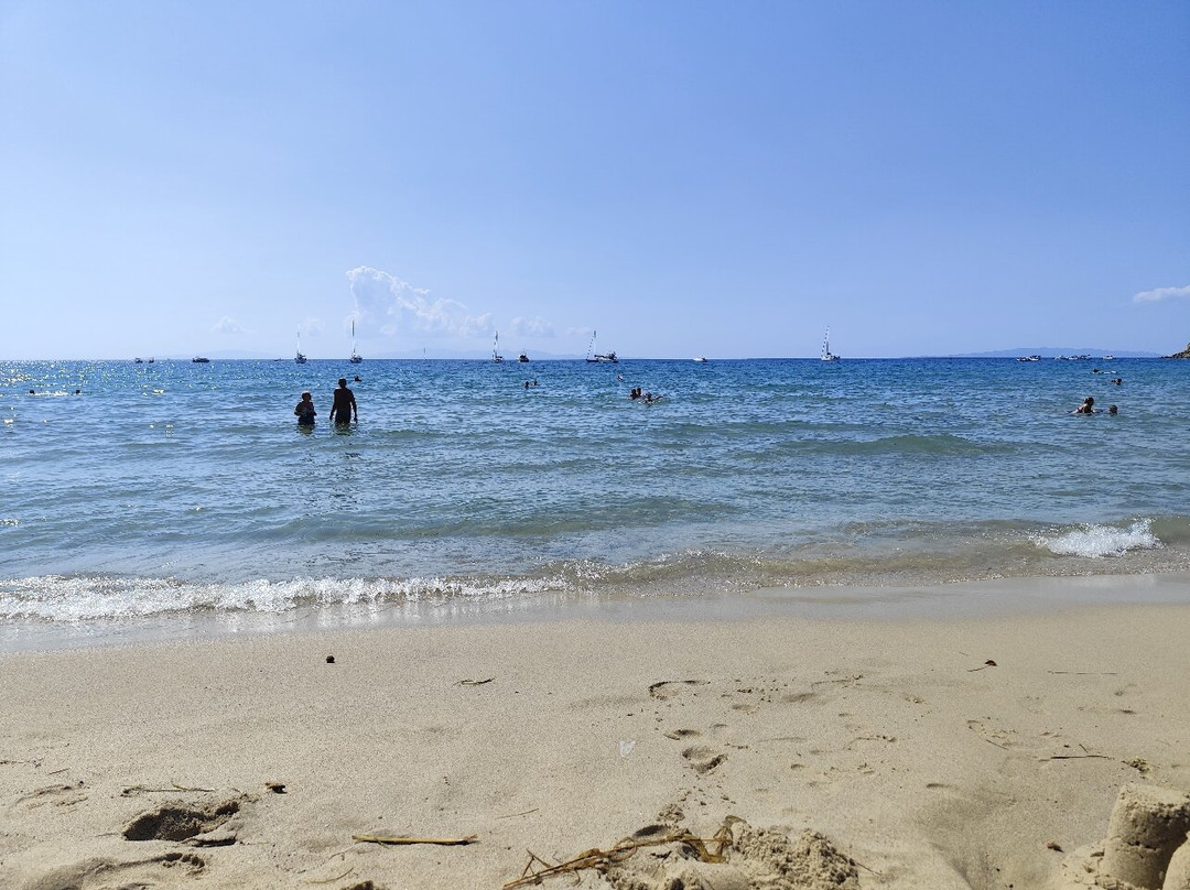 Cala Violina-斯卡尔利诺必去景点