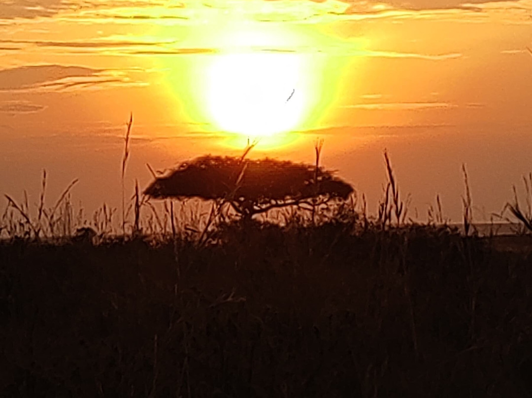 Safari Monks-Bandhavgarh National Park必去景点