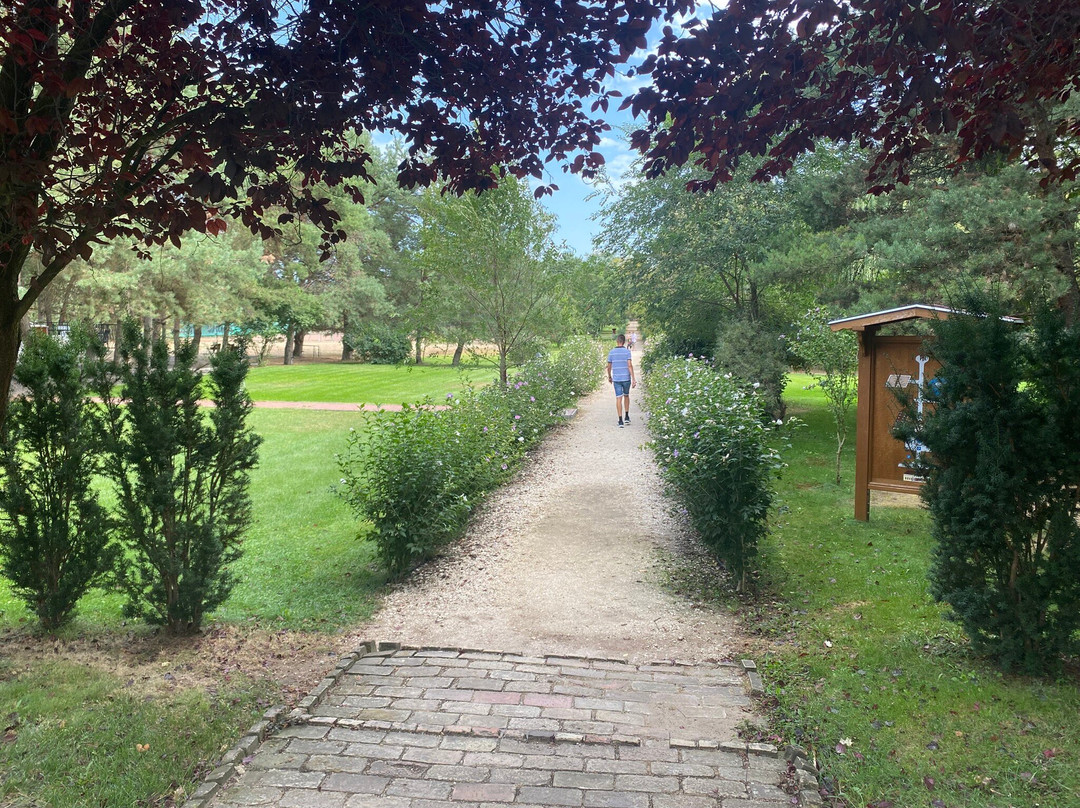 Bodrogi Kuria Wellness Hotel主图