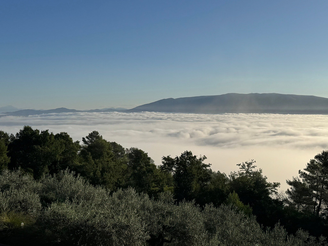 Agriturismo La Casetta di Chiara主图