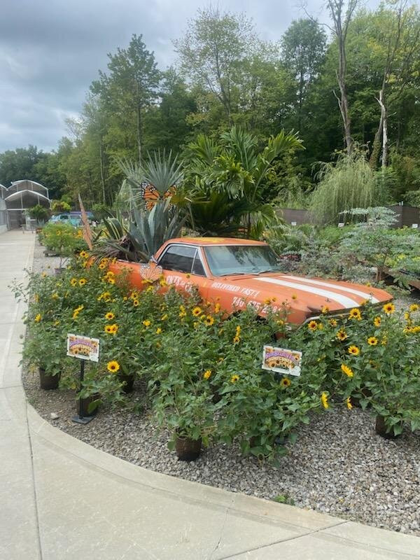 Groovy Plants Ranch-Marengo必去景点