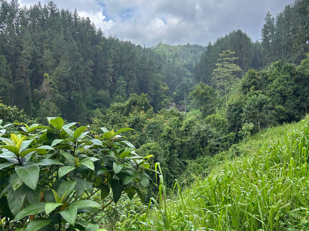 Rohan Tours Waikkala-Waikkal必去景点