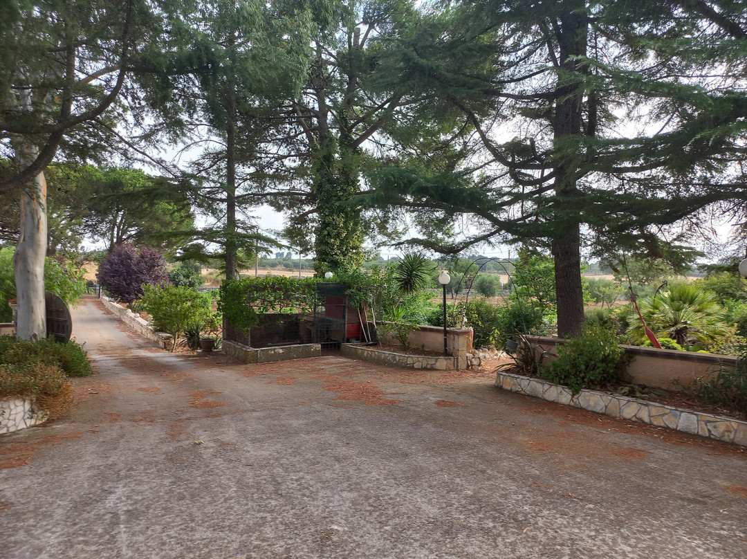 B&B Mandorla Amara主图