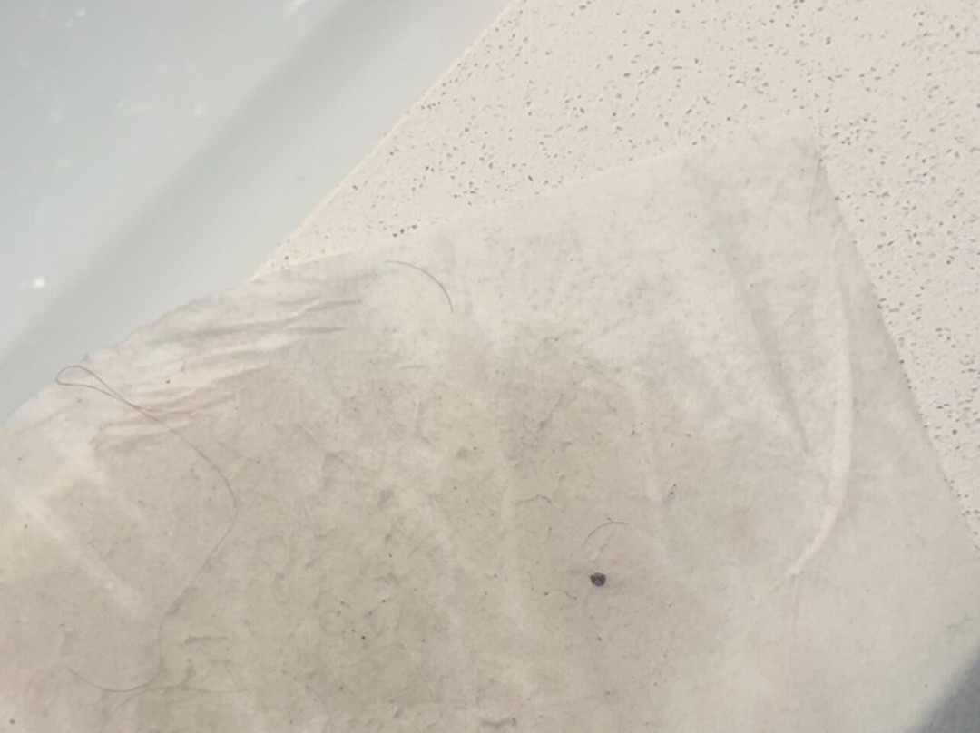 多森希尔顿恒庭旅馆&套房酒店主图