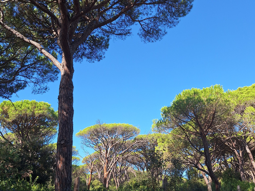 Spiaggia libera Le Marze-Marina di Grosseto必去景点