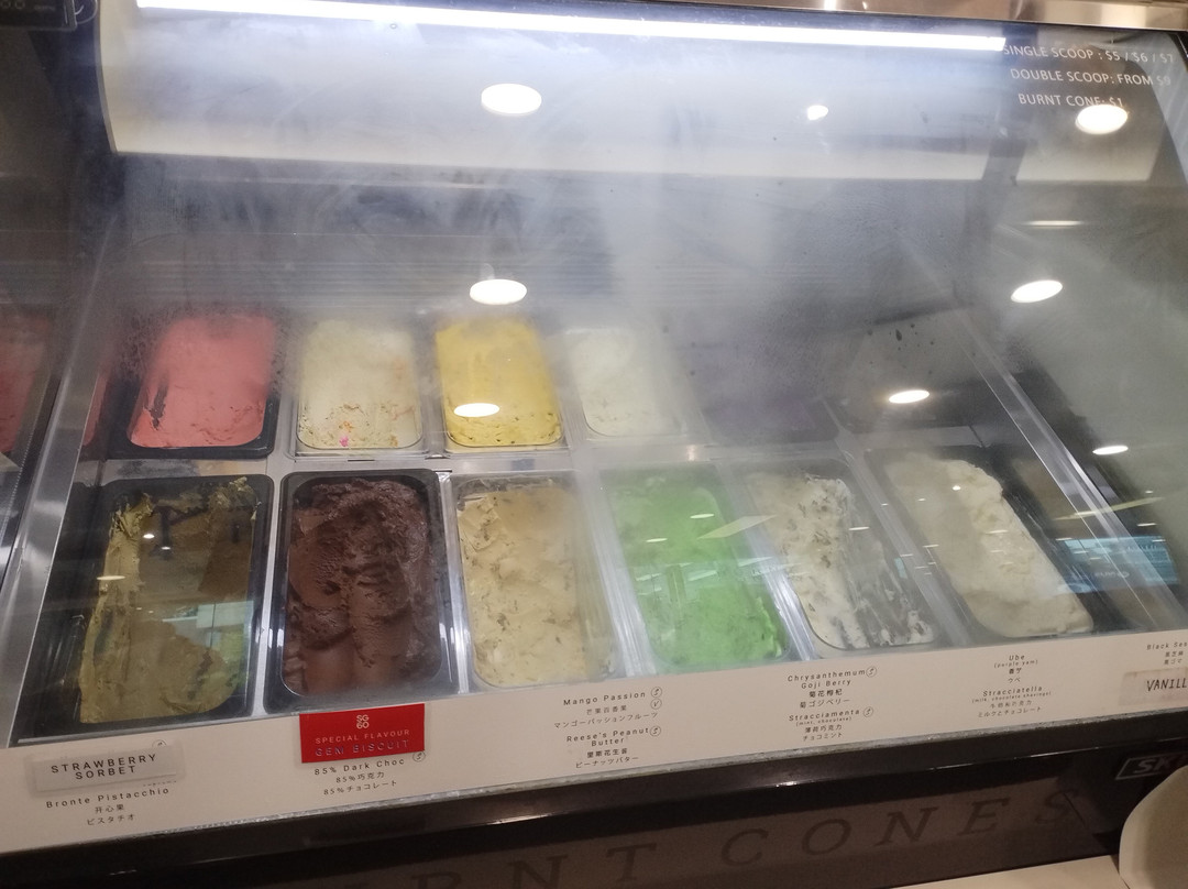 Burnt Cones Gelato (NUS MD11)