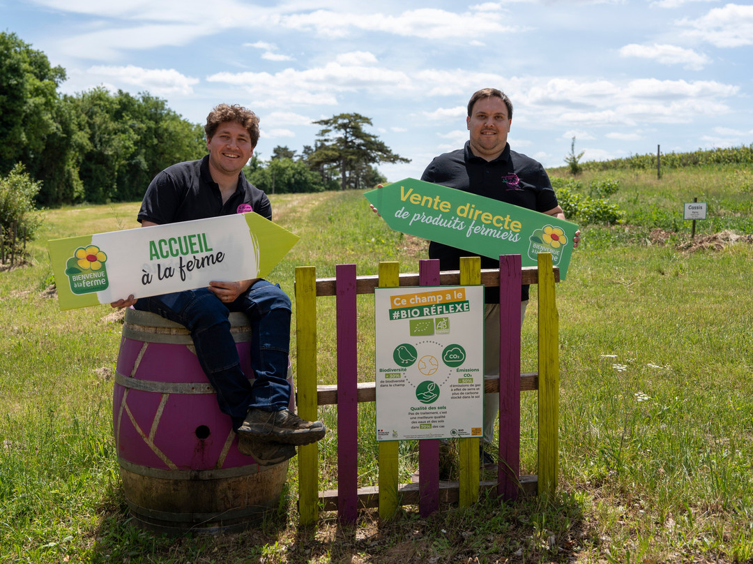 Ferme Fruirouge-夜圣乔治必去景点