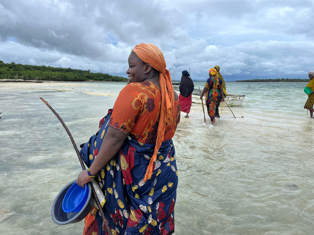 Lady Lamu Dhow-拉穆岛必去景点