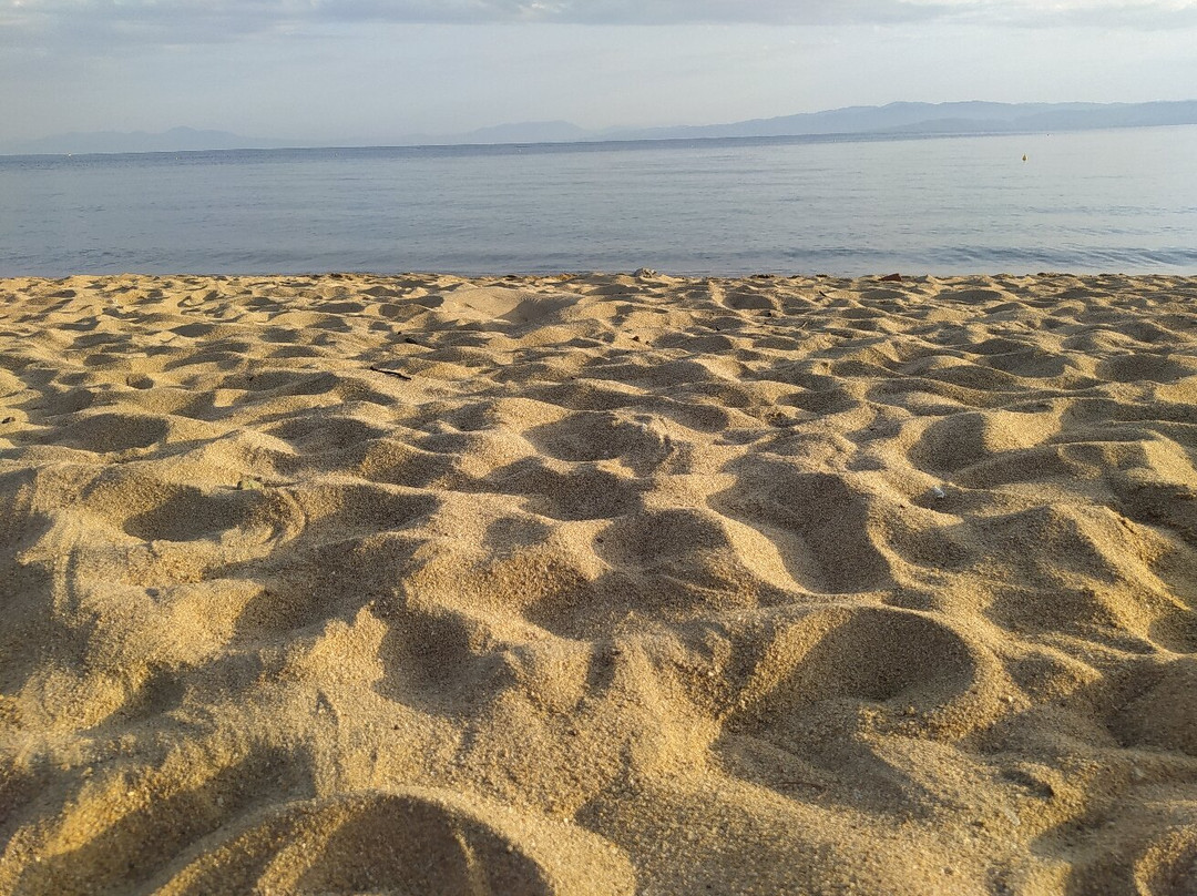 Agia Paraskevi Beach-Platanias必去景点