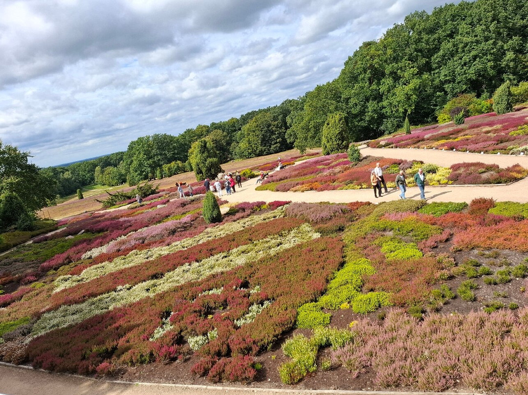 Heidegarten im Höepen-Schneverdingen必去景点