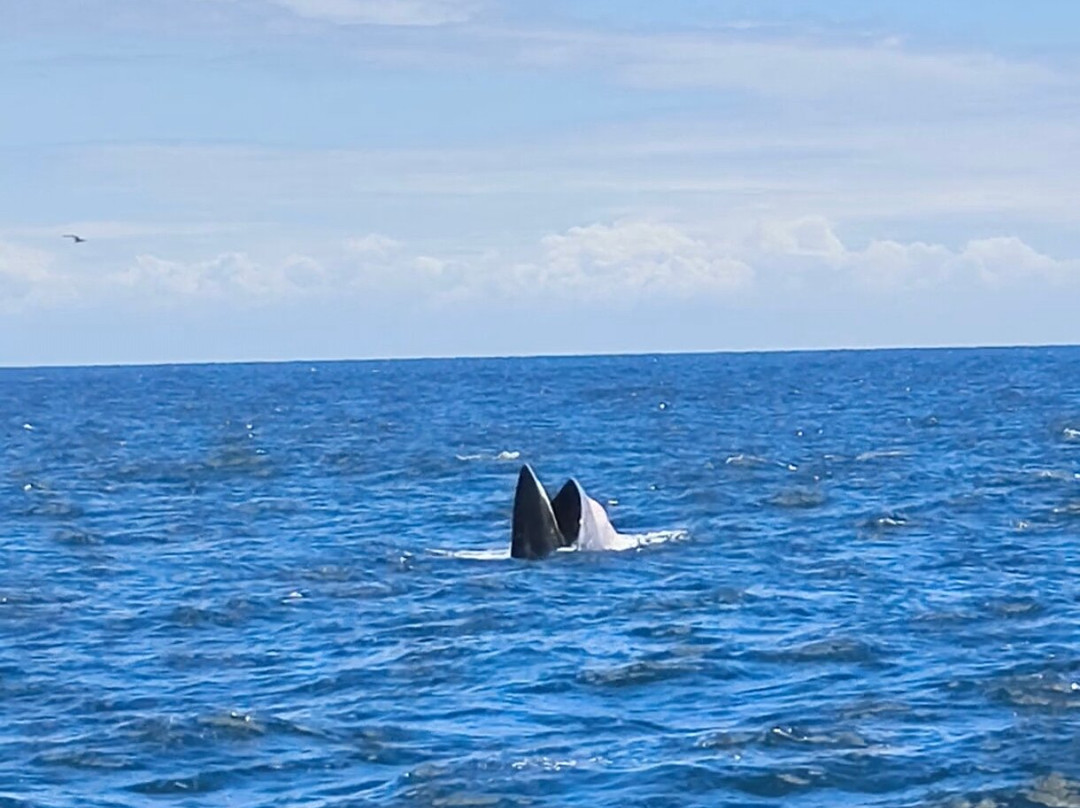 Bangkok Hiking-曼谷必去景点