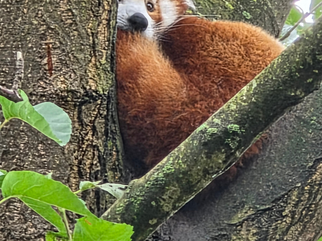 常青食宿酒店主图