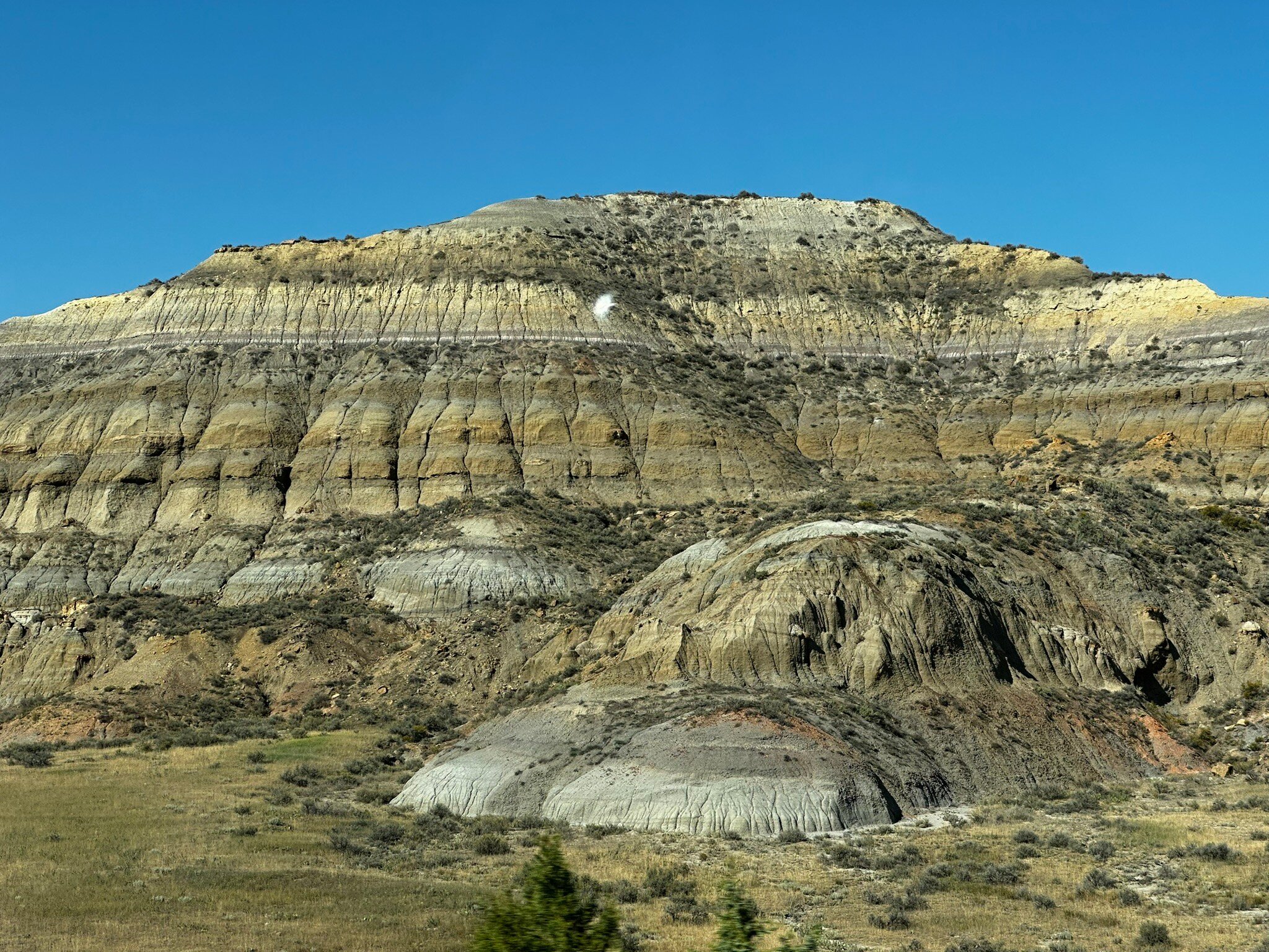La Quinta Inn & Suites By Wyndham Glendive-官方