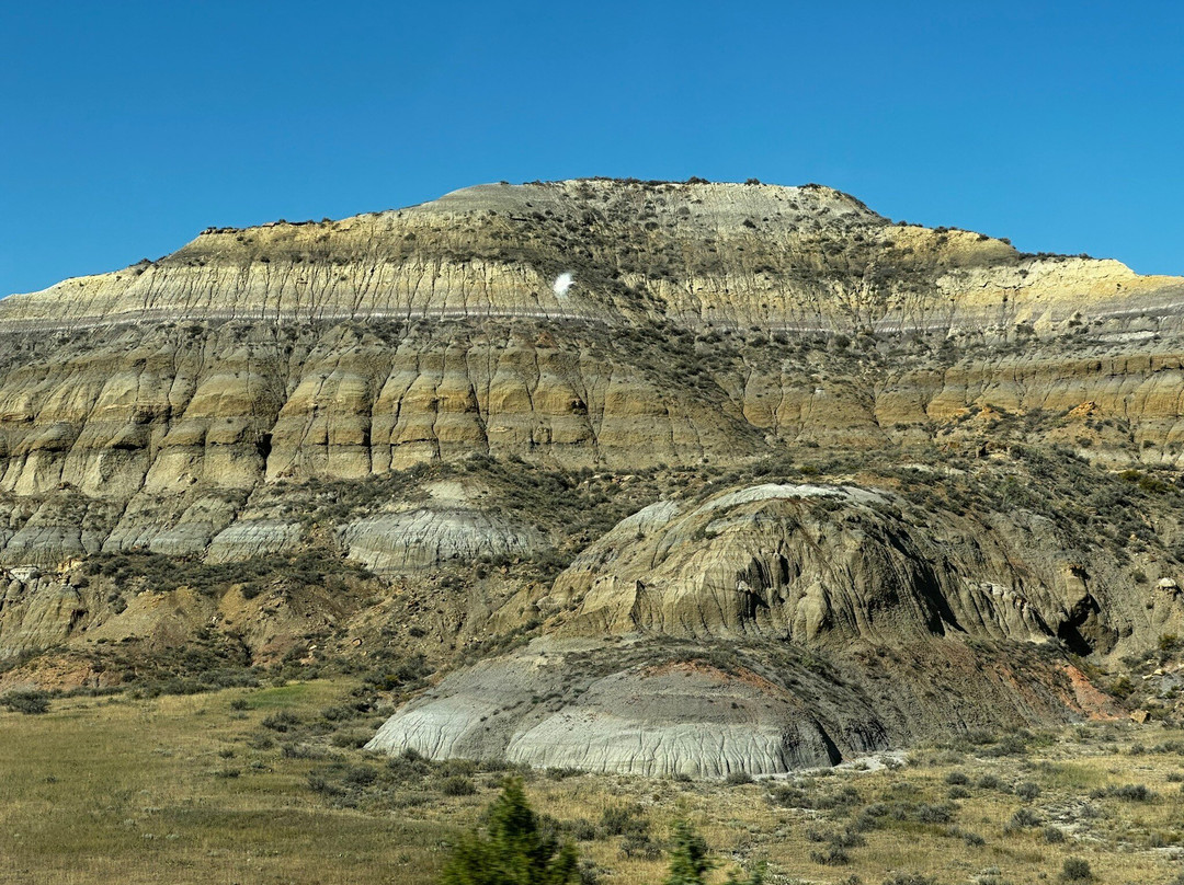 La Quinta Inn & Suites By Wyndham Glendive主图