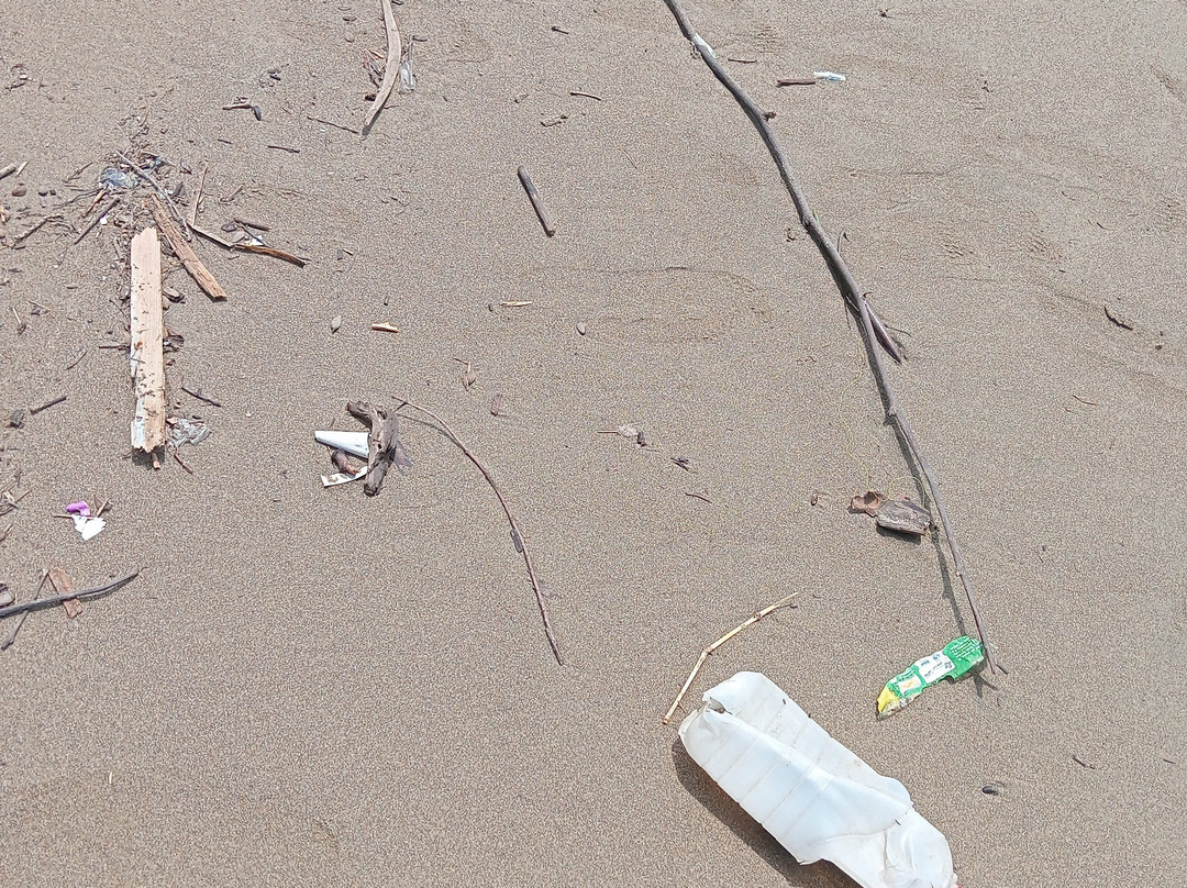 Playa San Pedrito-曼萨尼约必去景点