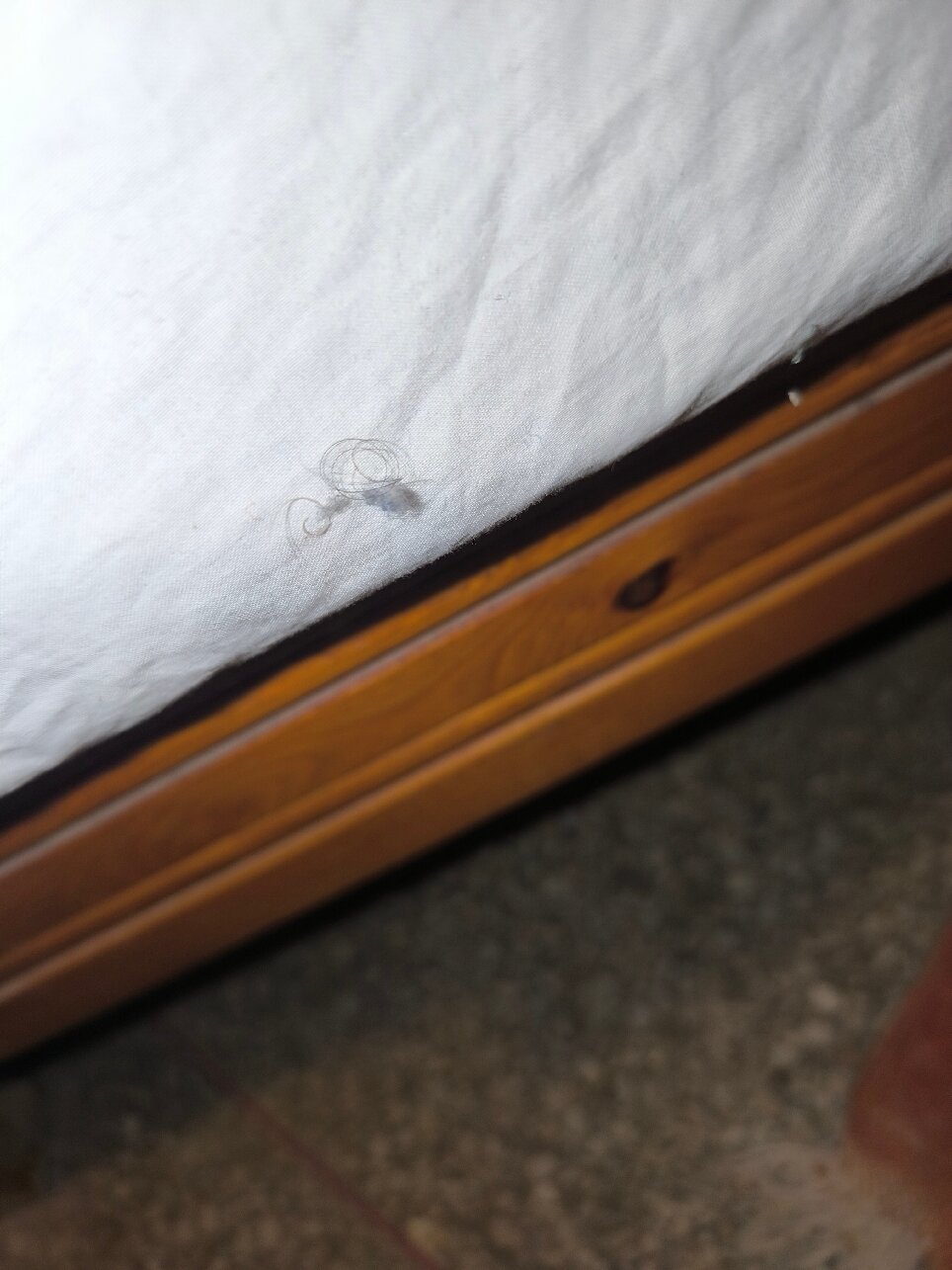 Hotel la Palmeraie-官方