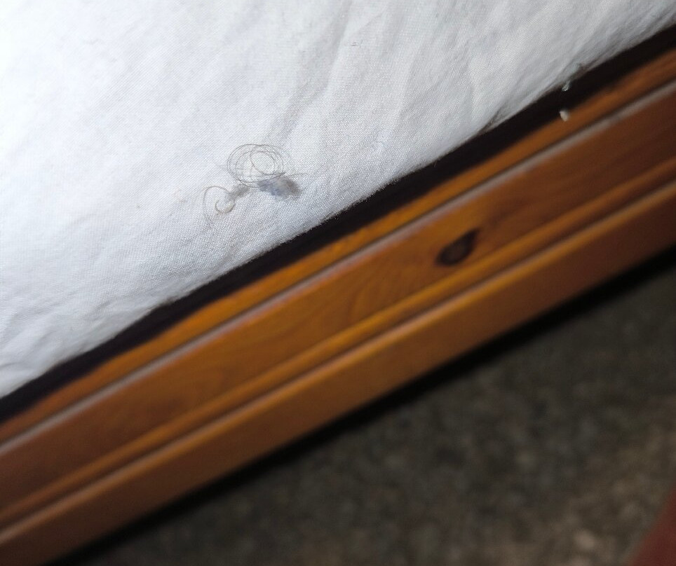 Hotel la Palmeraie主图