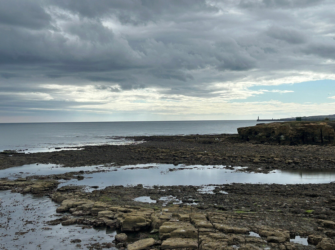 Cullercoats Beach-Cullercoats必去景点