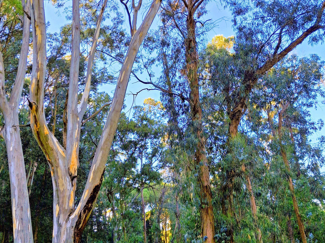 Colli San Rizzo-墨西拿必去景点