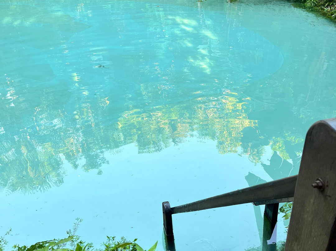 Jalapão Gaviões do Cerrado-Ponte Alta do Tocantins必去景点