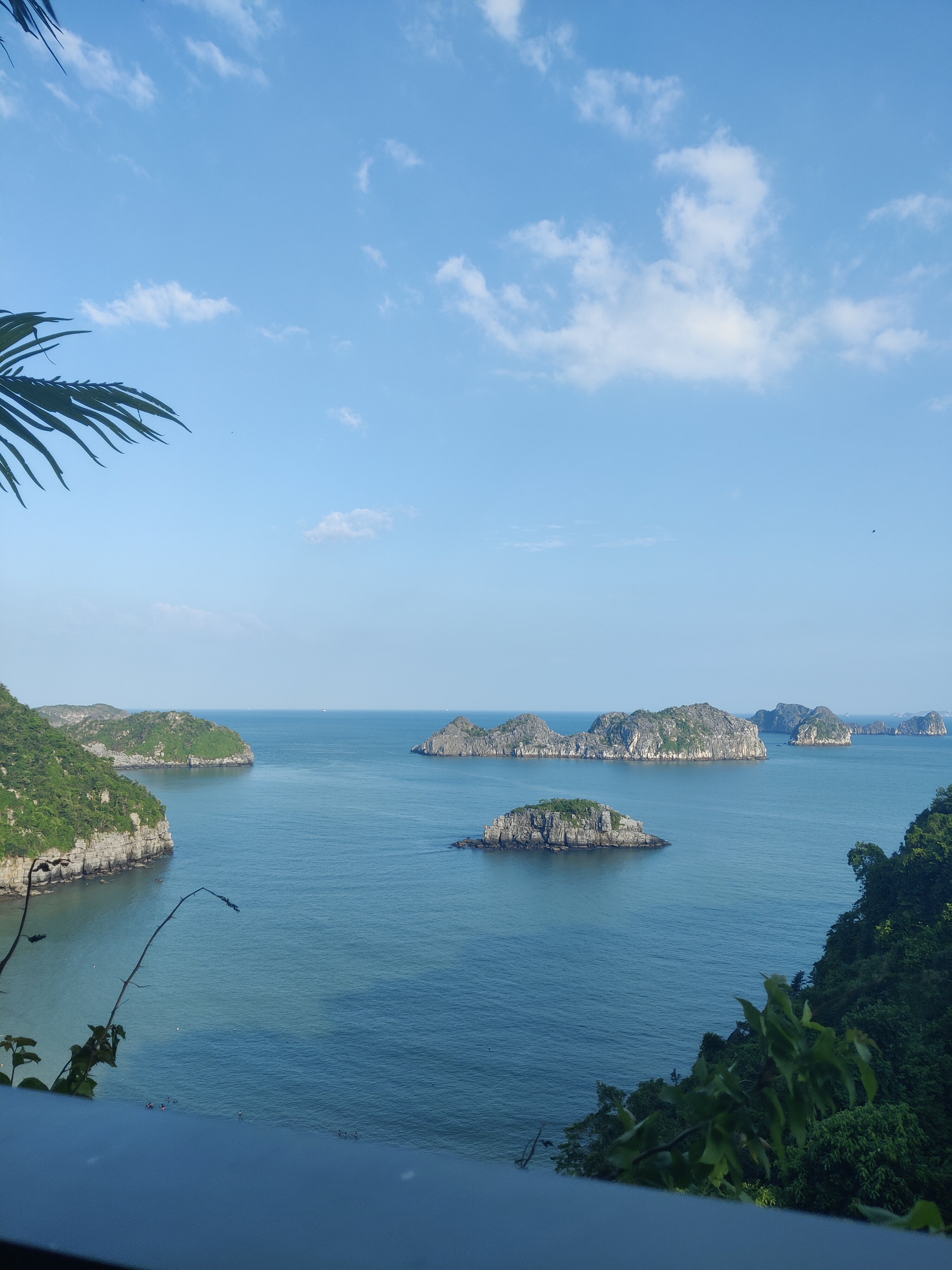 Flamingo Cat Ba Resorts-客卧