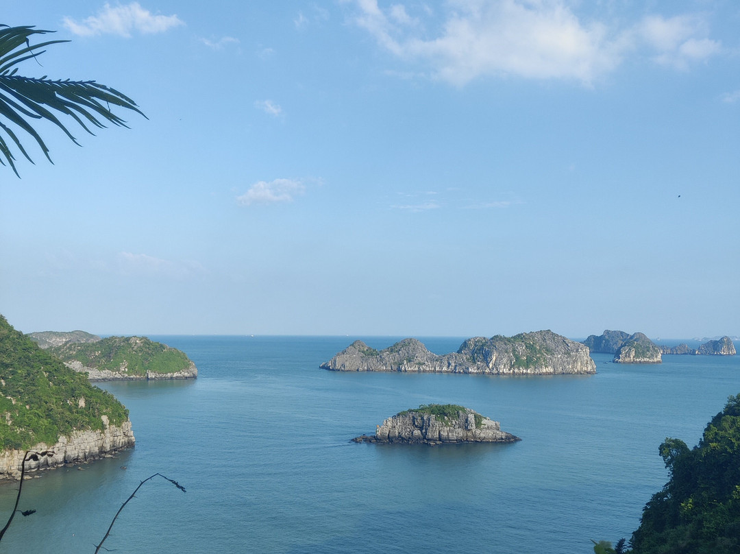 Flamingo Cat Ba Resorts主图