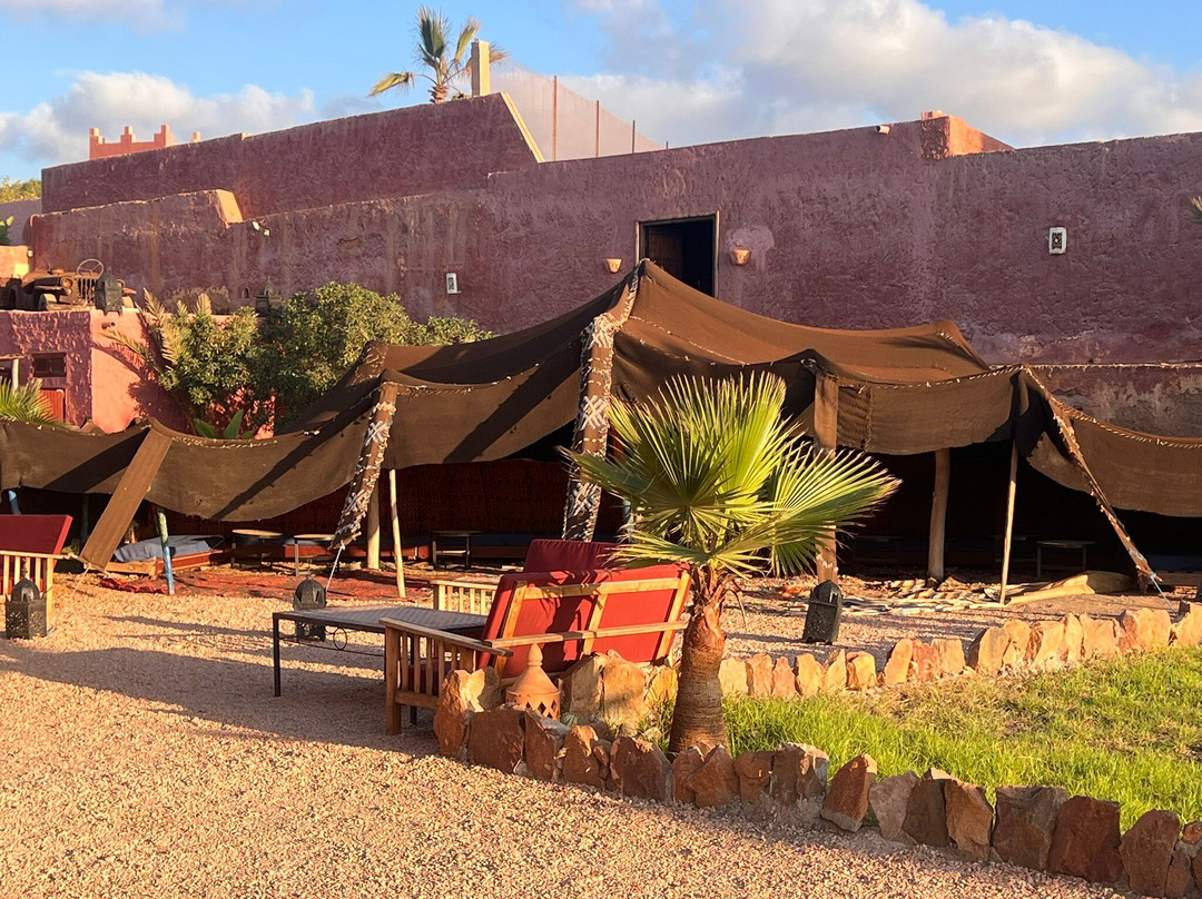 Les 3 Chameaux主图