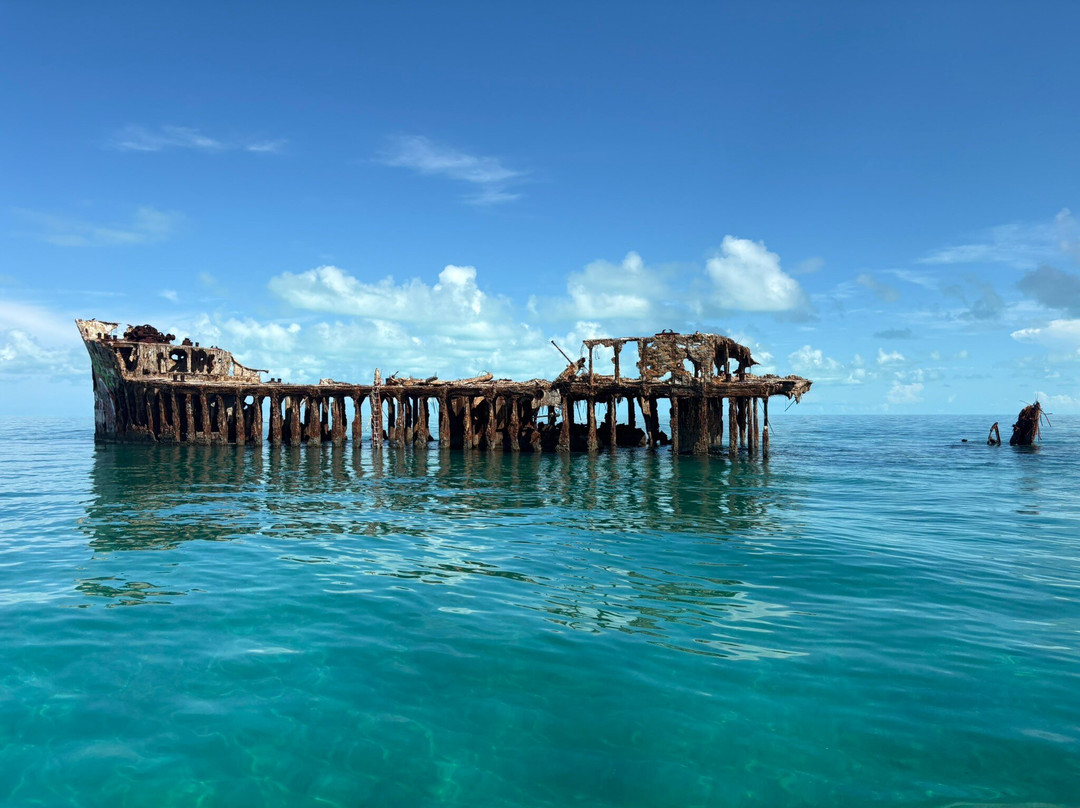 Neal Watson's Bimini Scuba Center-Alice Town必去景点