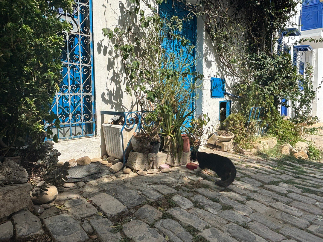 Sidi Bou Said Village-蓝白小镇必去景点